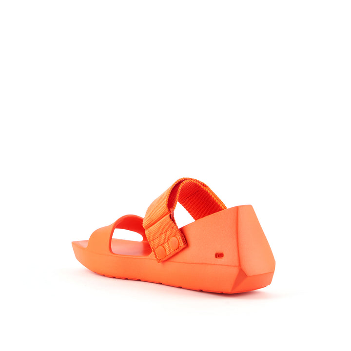 hybrid jane lo orange angle in view