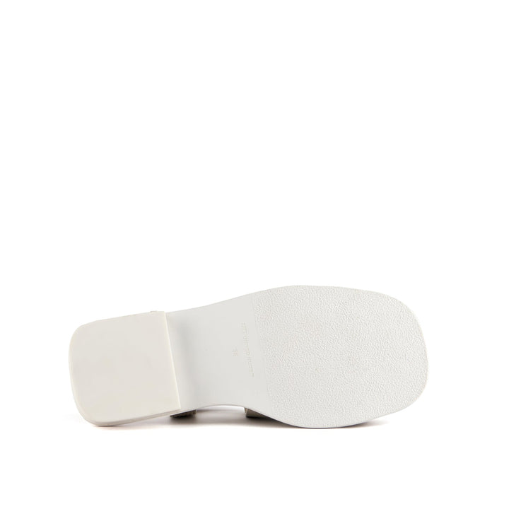 tara rei lo pumice bottom view