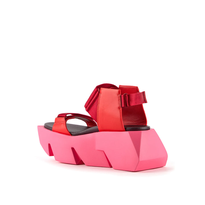 bull run lily 4 angle in