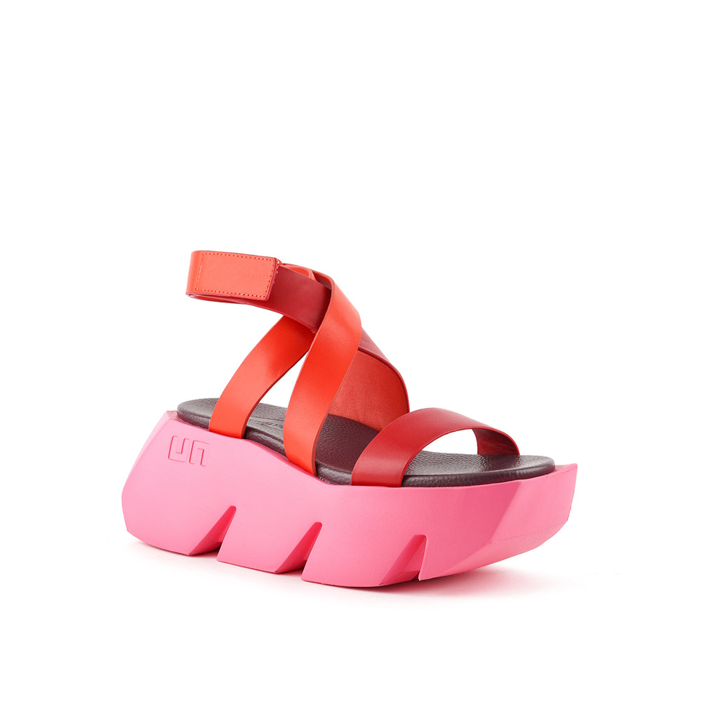 bull way lily 2 angle out