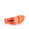 loop hi surf coral top view