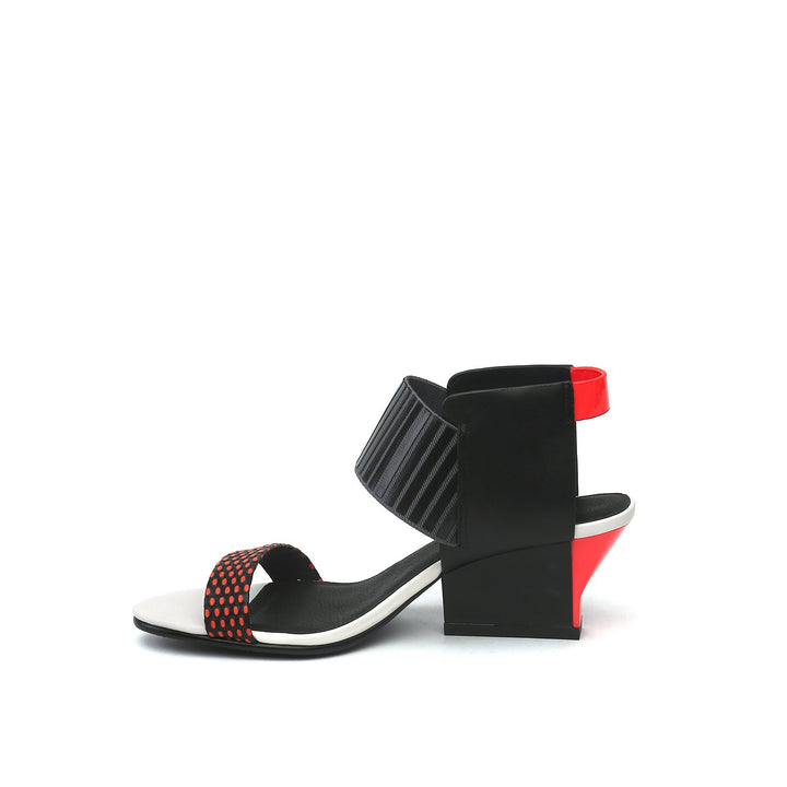 raiko coral mix in view