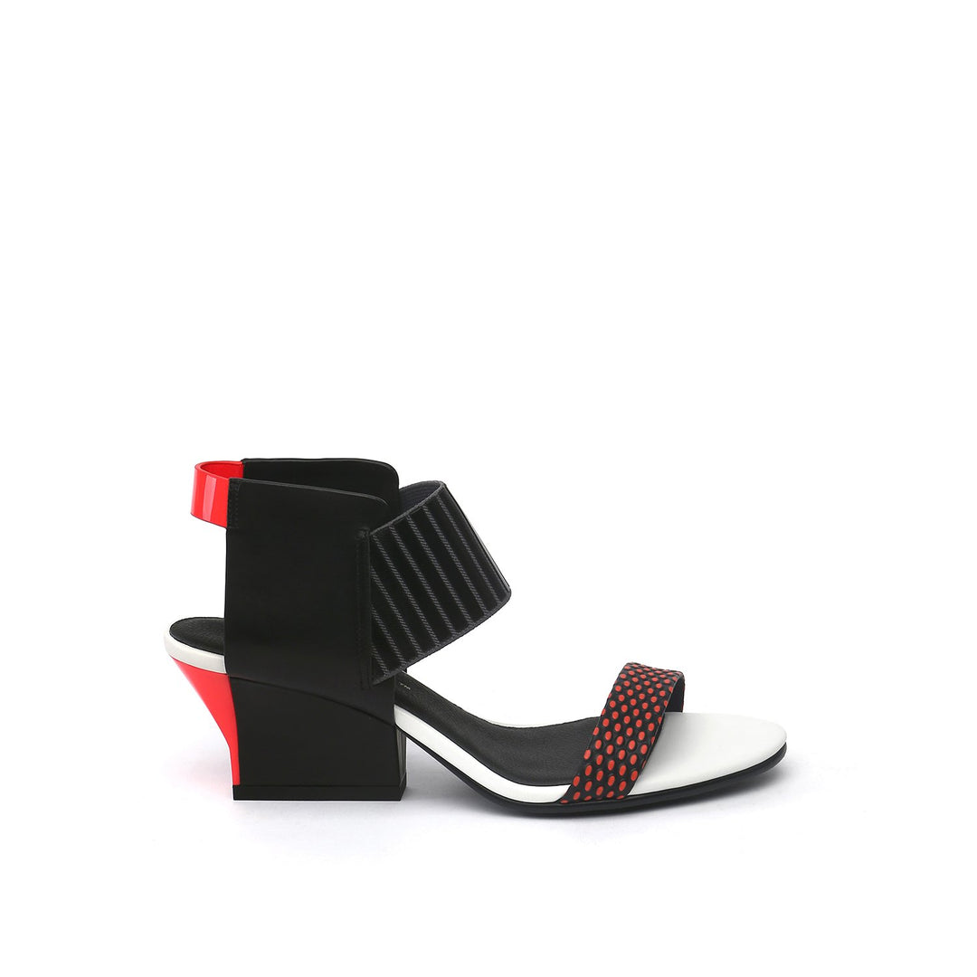 raiko coral mix out view