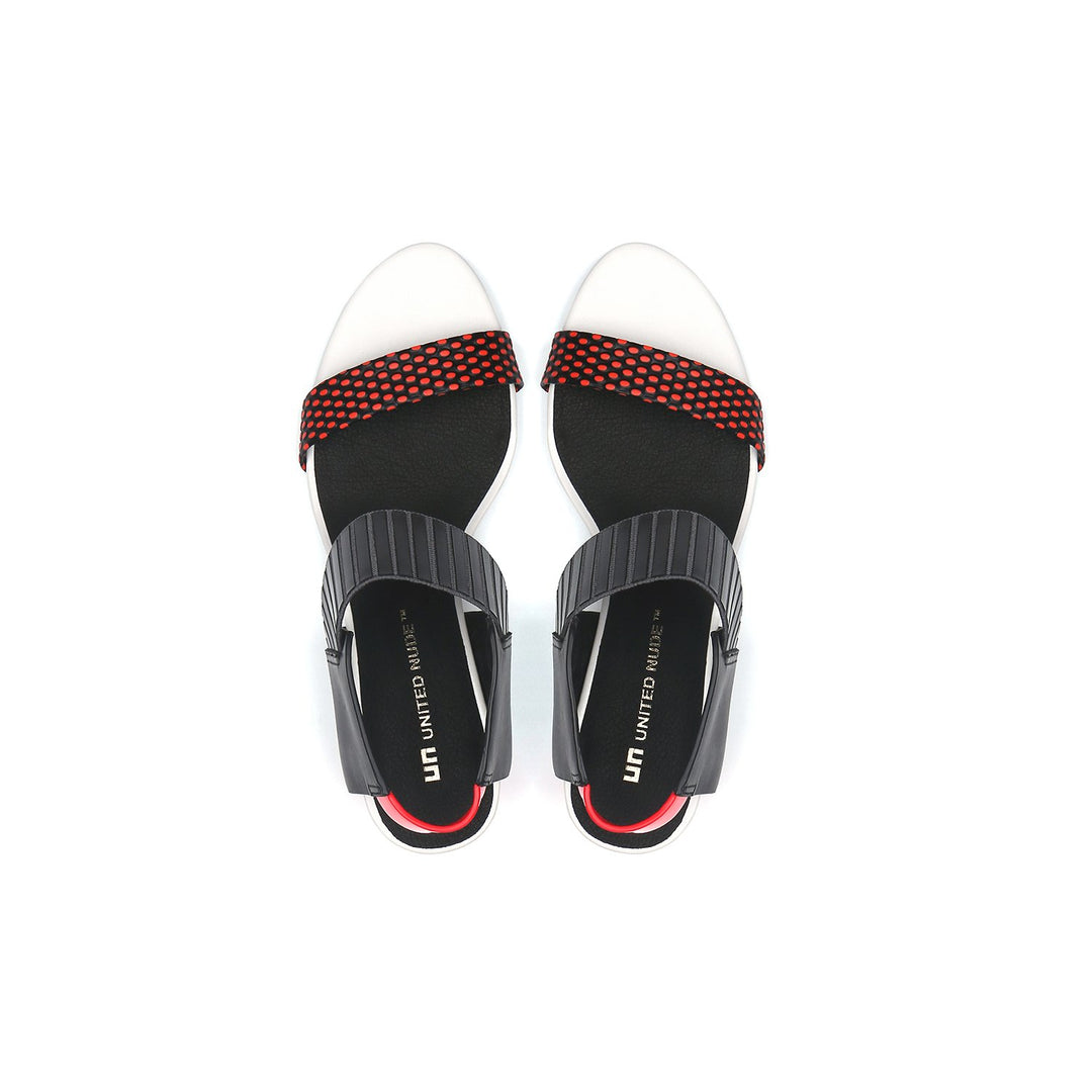 raiko coral mix top view