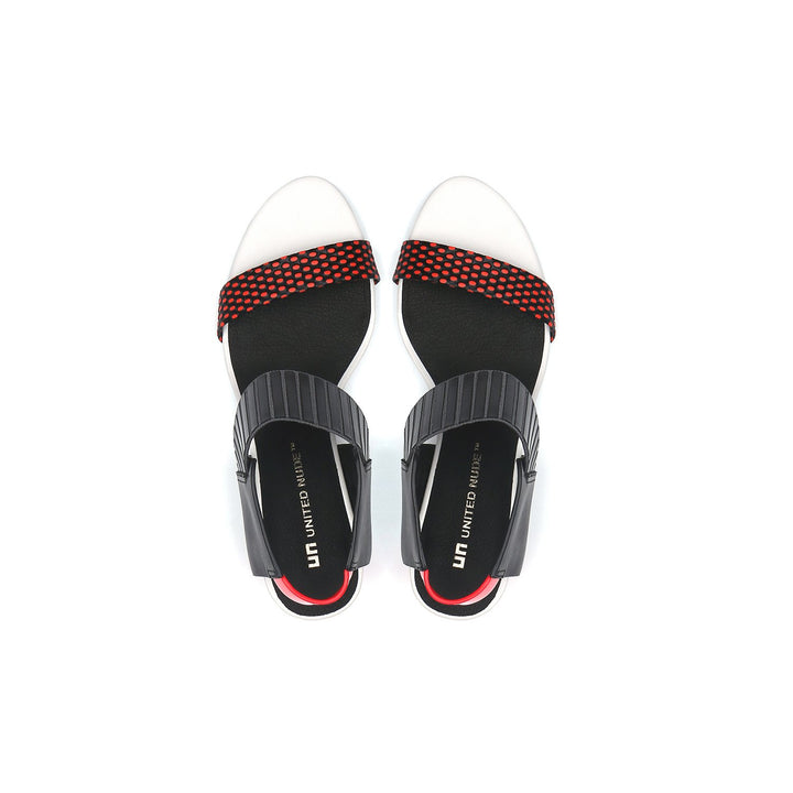 raiko coral mix top view